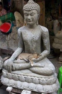 Cat on Buddha\
