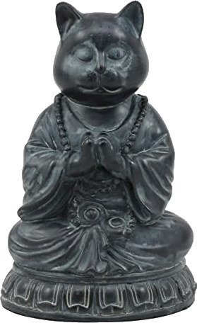 Cat Buddha